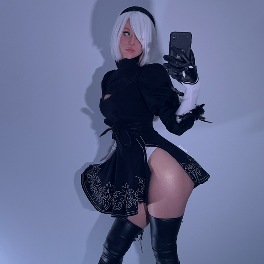 2B Nier Automata Digital Photo Pack